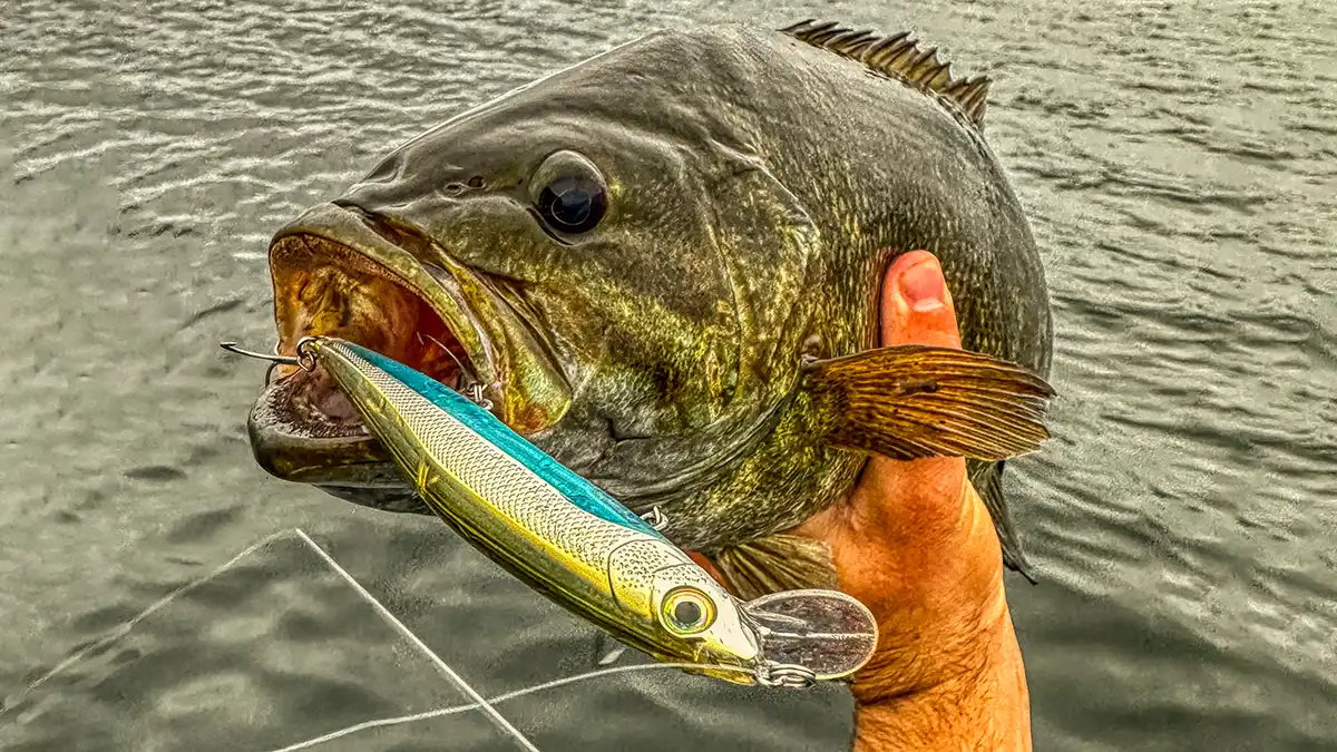 Top-Rated Clear Water Bass Fishing Lures: Expert Picks