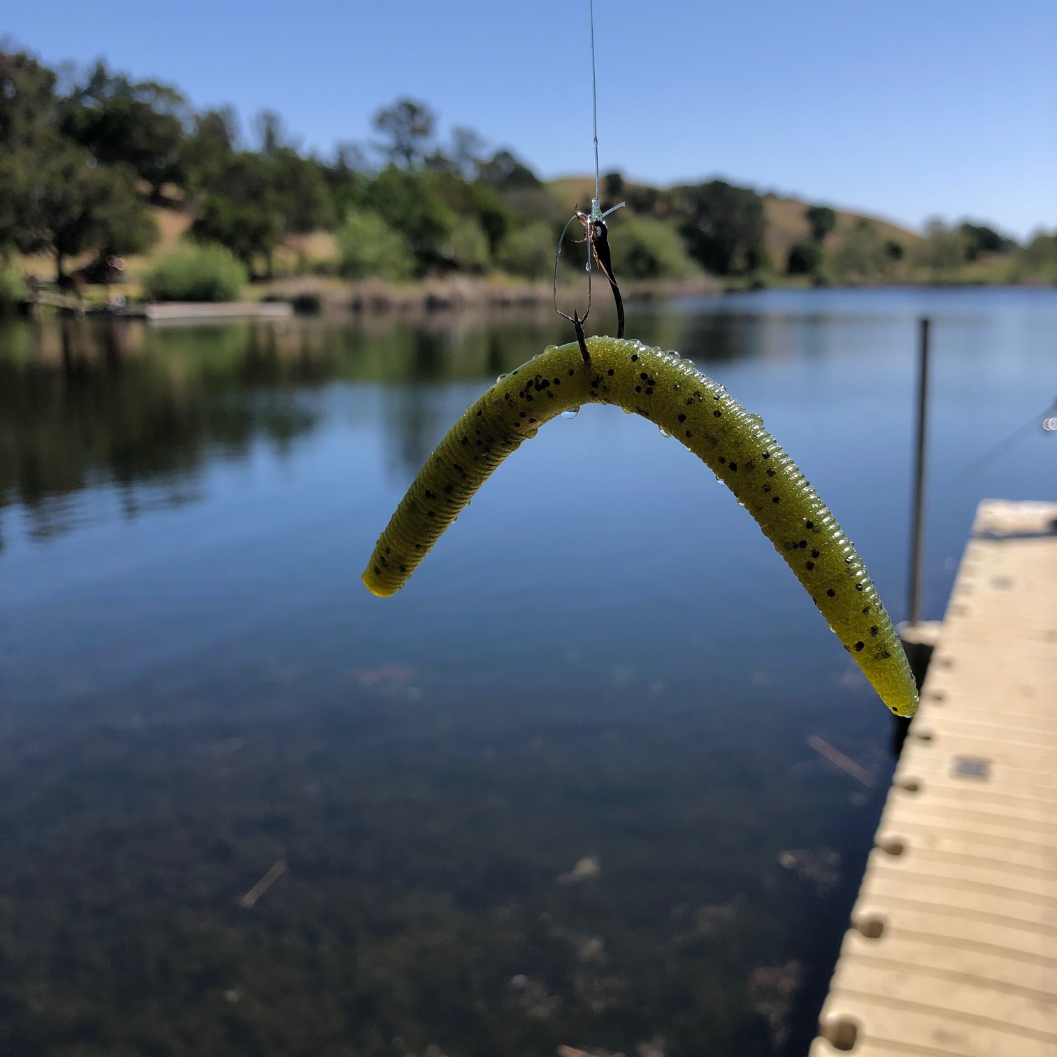 Top 5 Best Wacky Rig Worms for Bass Fishing: Maximize Your Catch