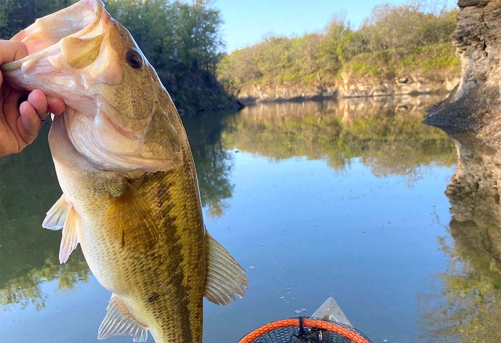 Early Fall Bass Fishing: Top Strategies to Tackle Cooler Waters