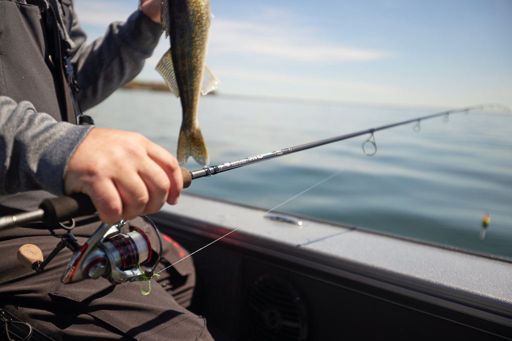 Best St. Croix Avid Panfish Rods for Anglers: Performance and Durability Explained