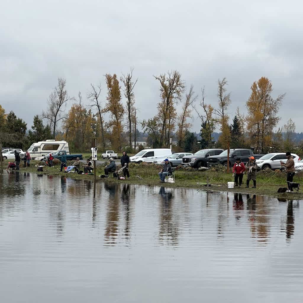 Discover Walling Pond in Salem, Oregon: Public Fishing Access