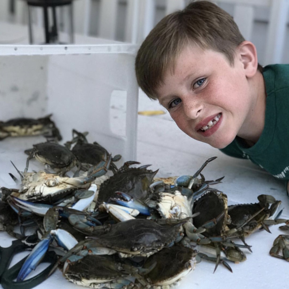 Crabbing at Barnegat Bay: Latest Report on Crabs and Tides