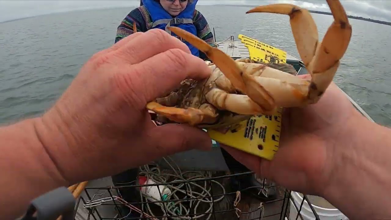 How to Enjoy Crabbing in Westport WA: Top Locations & Techniques