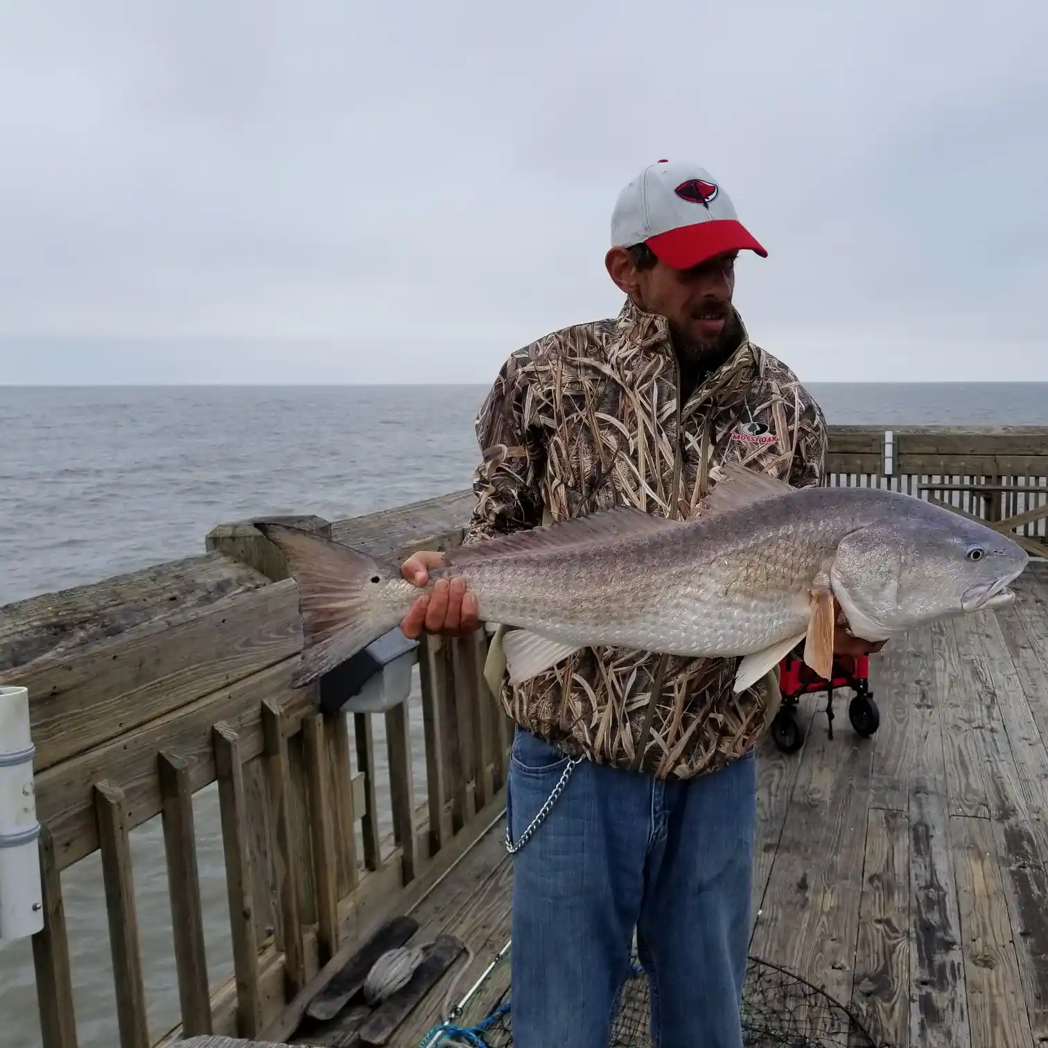 Weekly Folly Beach Pier Fishing Report: Top Catches and Hot Spots in Charleston