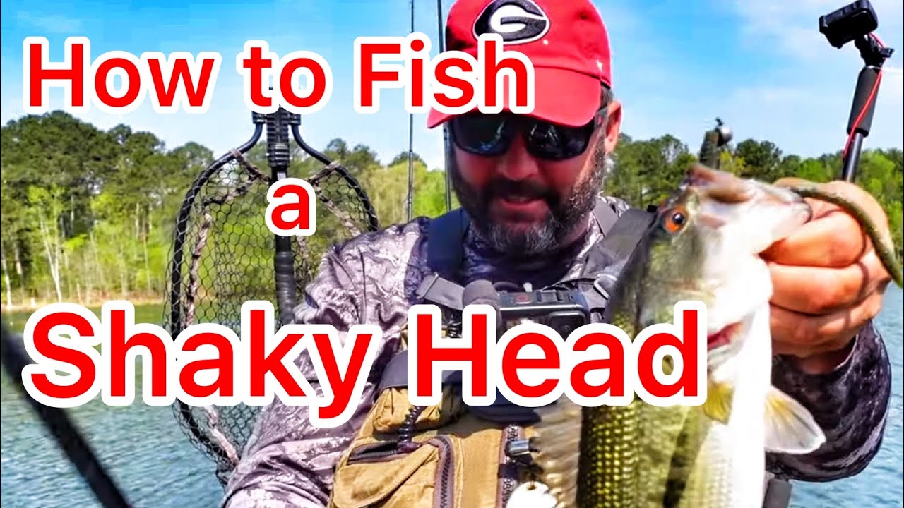 How to Fish a Shakey Head: Tips and Techniques for Catching Bass