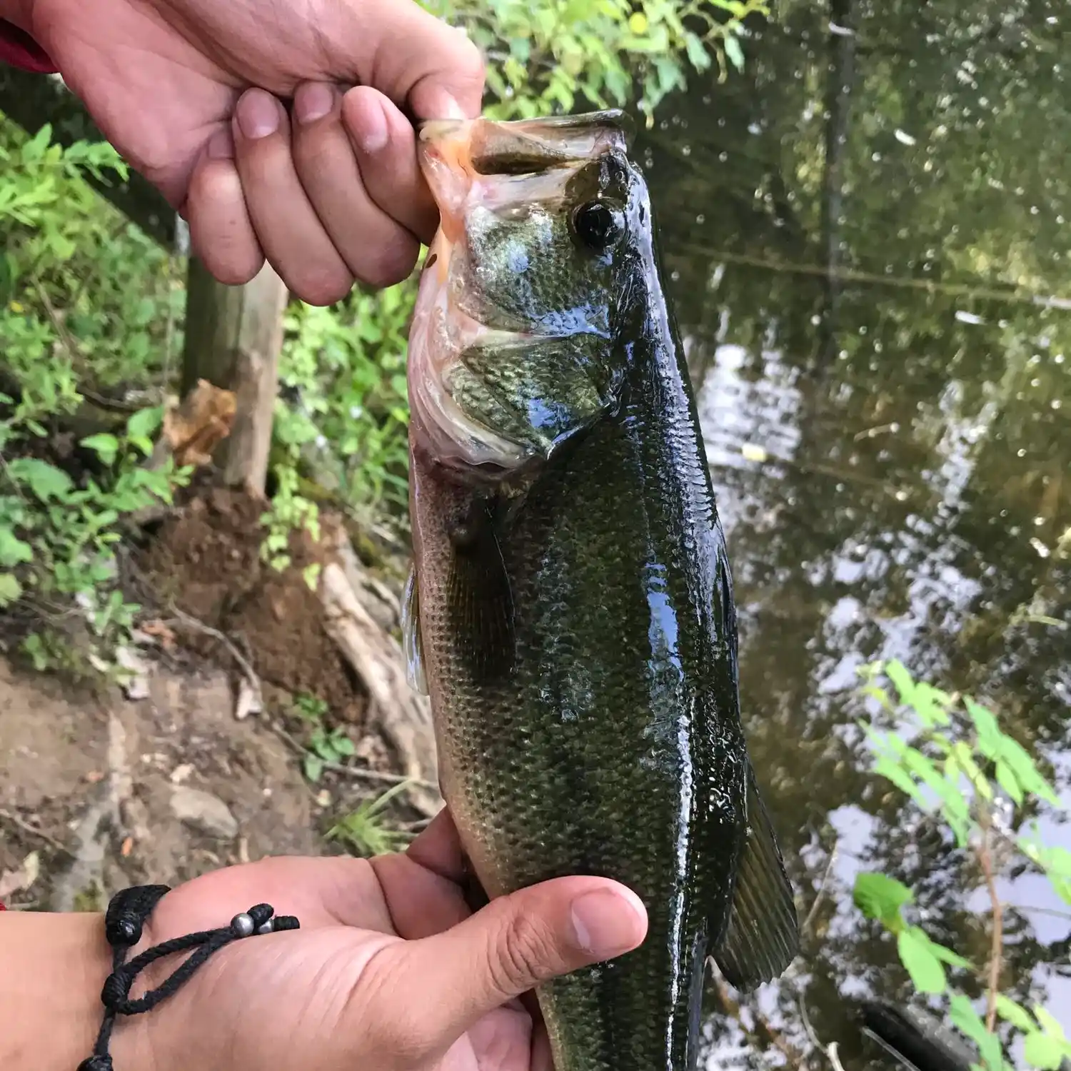 Best Fishing Spots at Binford Reservoir: Your Ultimate Guide