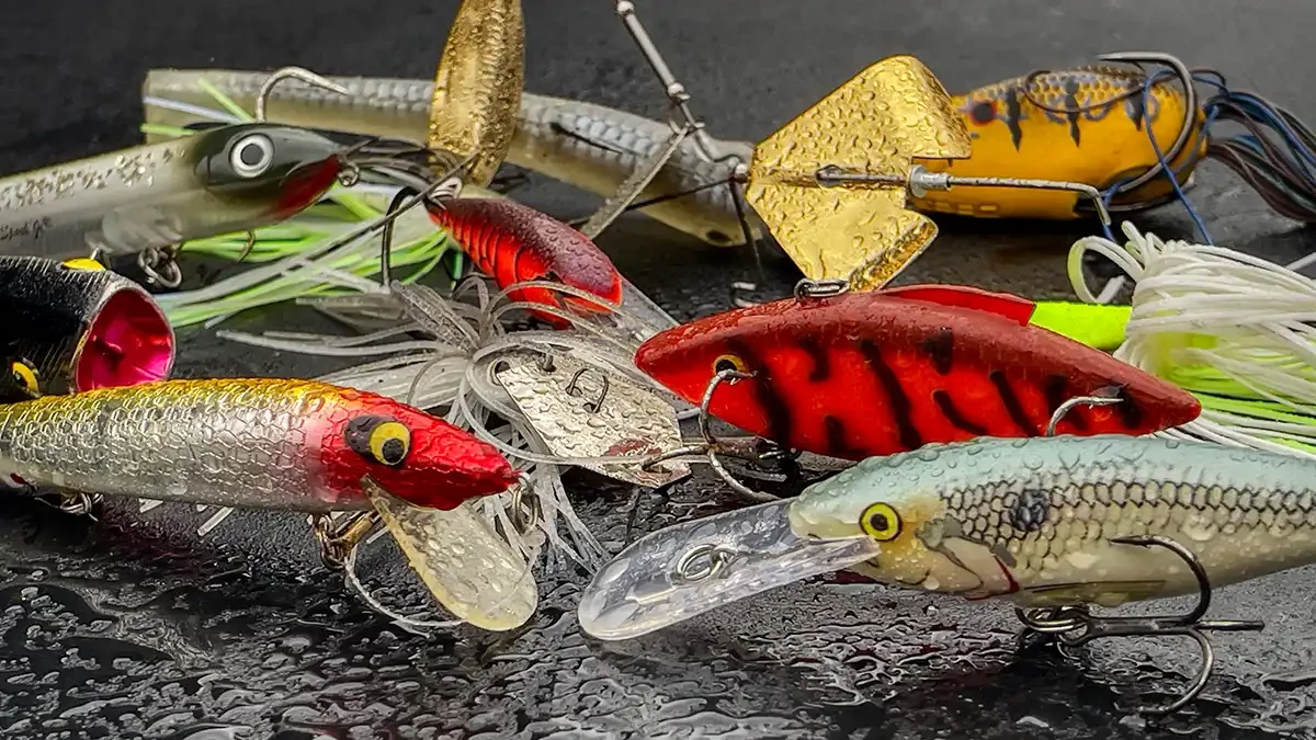 Top Rubber Baits for Fishing: Enhance Your Catch with the Best Lures