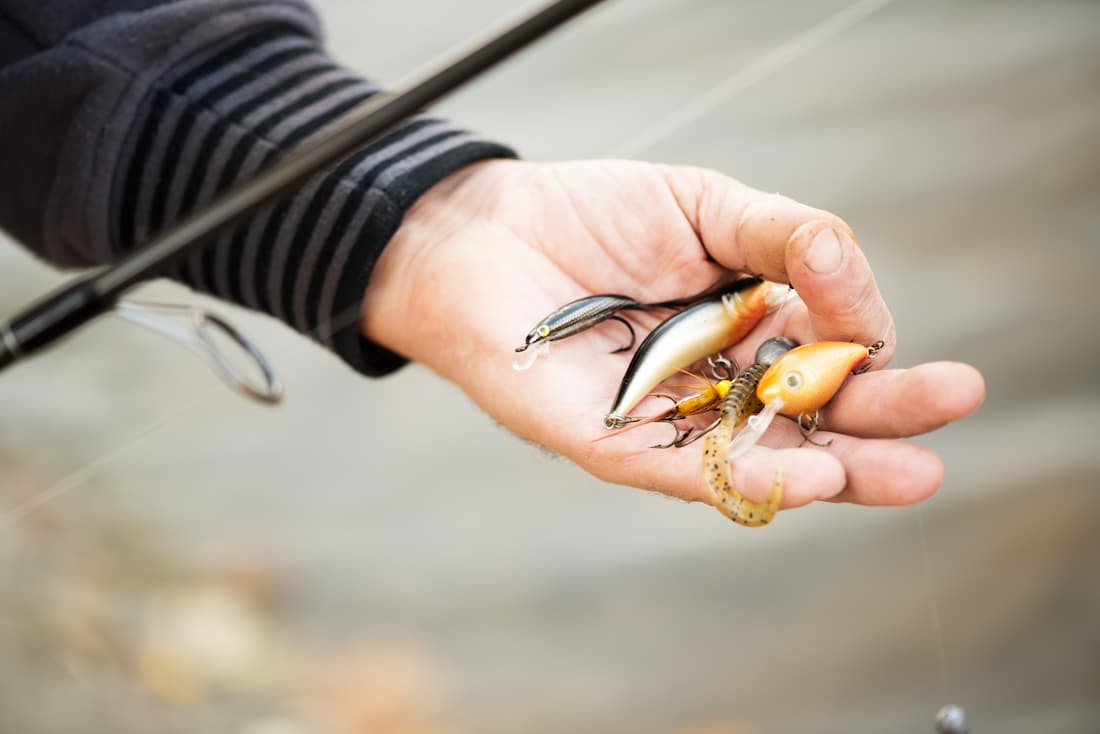 Top 7 Best Bass Lures for Summer Fishing Success