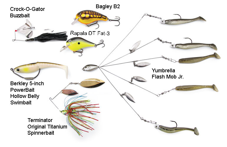 Fall Bass Fishing: The Best Bait to Use This Season