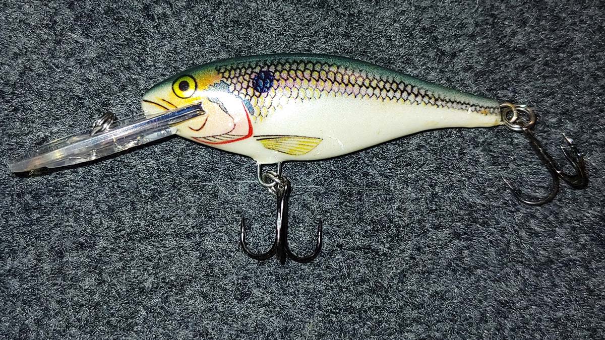 Top-Rated Good Bass Crankbaits: Expert Reviews for All Fishing Conditions