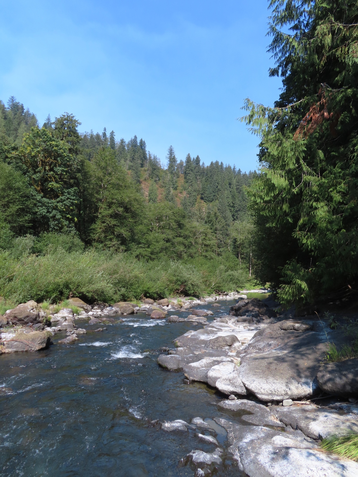 Little Nestucca River: A Hidden Gem for Outdoor Adventures in Oregon