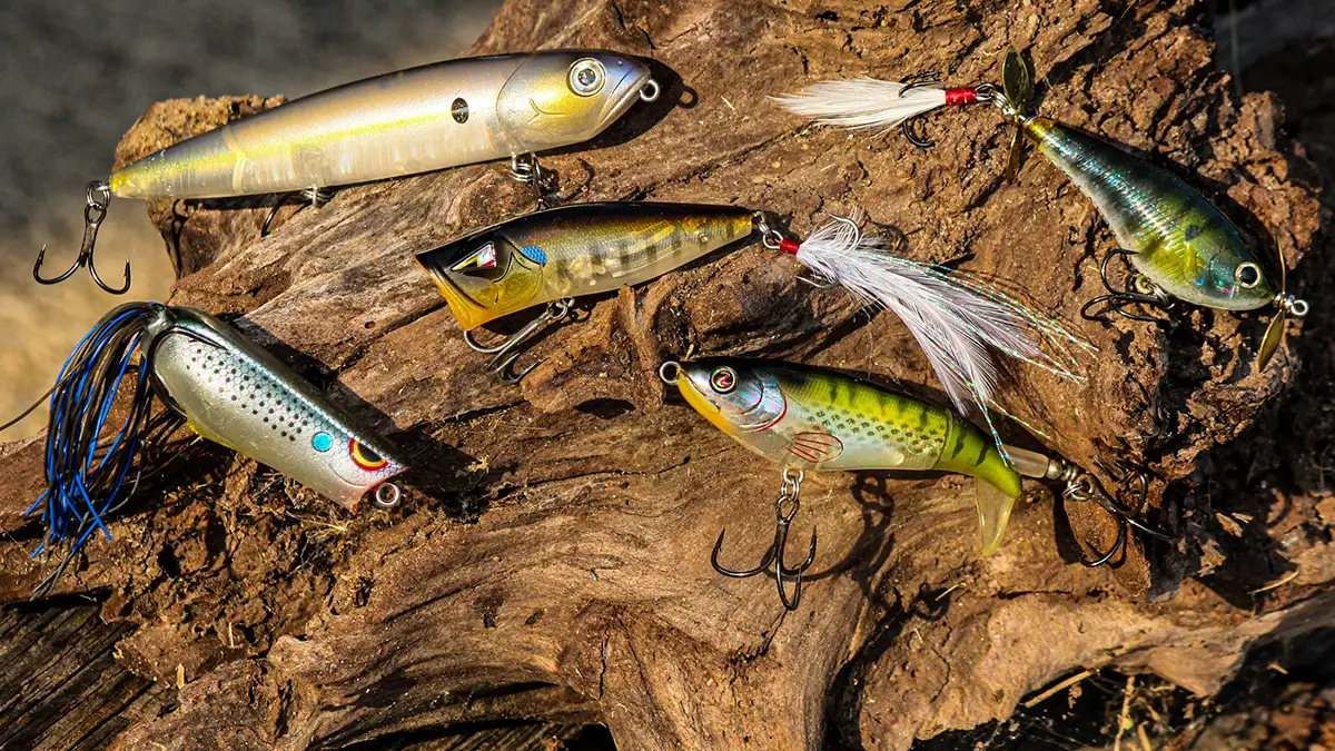 Essential Early Summer Bass Lures: Find the Best Options for Your Next Trip