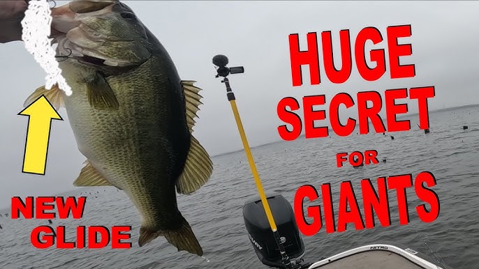 Explore the Best Glide Baits for Ultimate Fishing Success