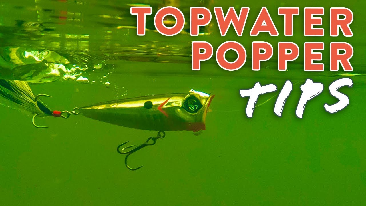 Understanding Topwater Fishing: How to Use Topwater Lures Effectively