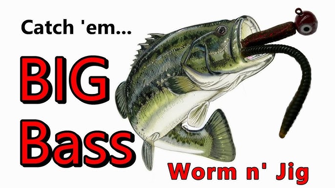 Jig and Worm Fishing Techniques Every Angler Should Know