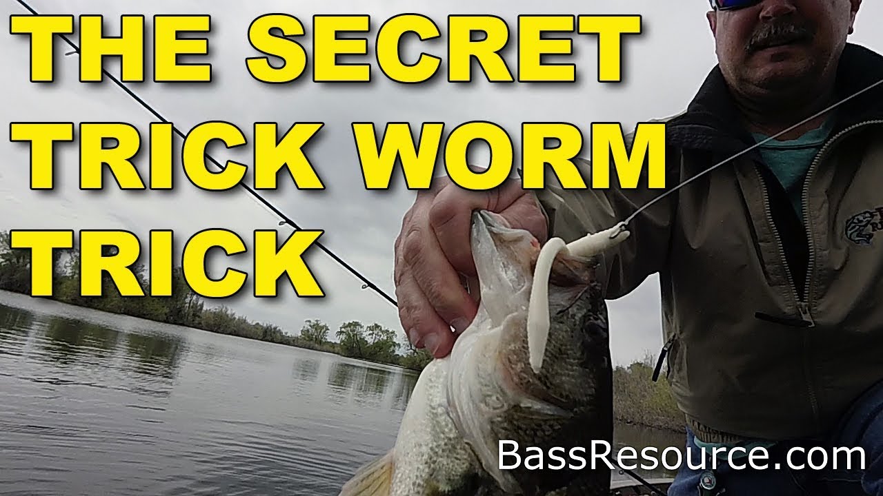 Advanced Worm Fishing Tips: How to Improve Your Catch Rate