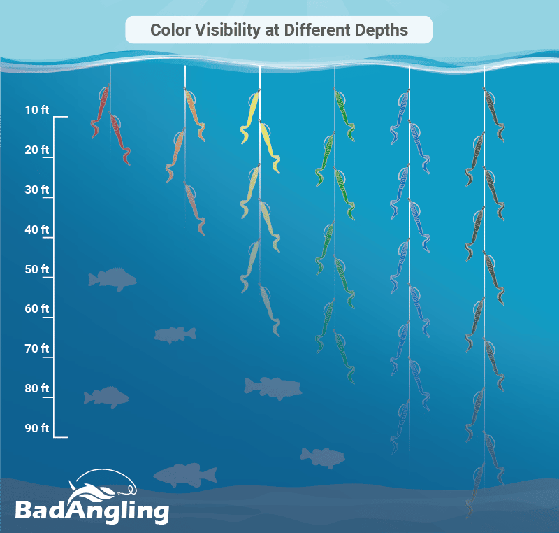 Ultimate Bass Lure Color Chart for Top Fishing Results