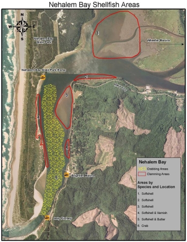 Oregon Coast Crabbing: Nehalem Bay Report & Best Spots