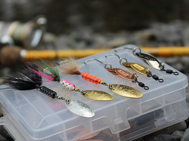 Best Trout Soft Plastics: Top Lures for Catching Trout Effectively