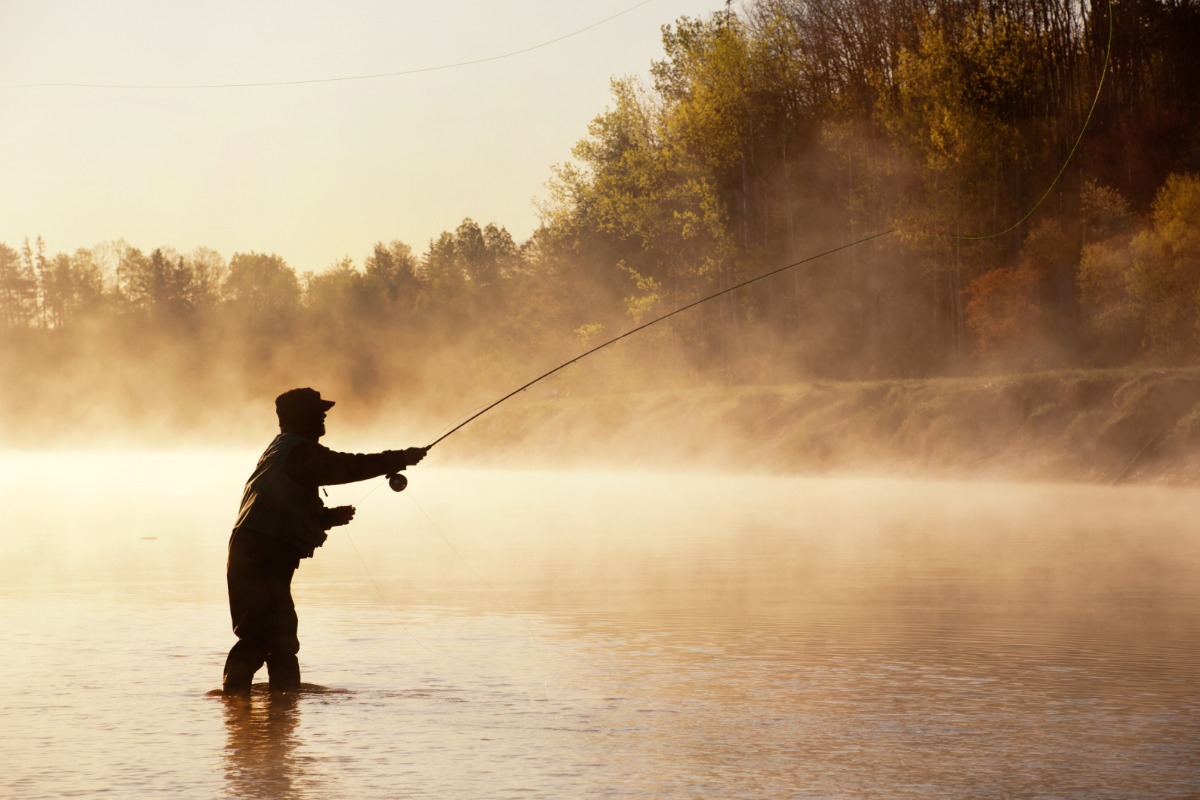 Ultimate Guide to Fishing in Corvallis, Oregon: Tips and Hotspots