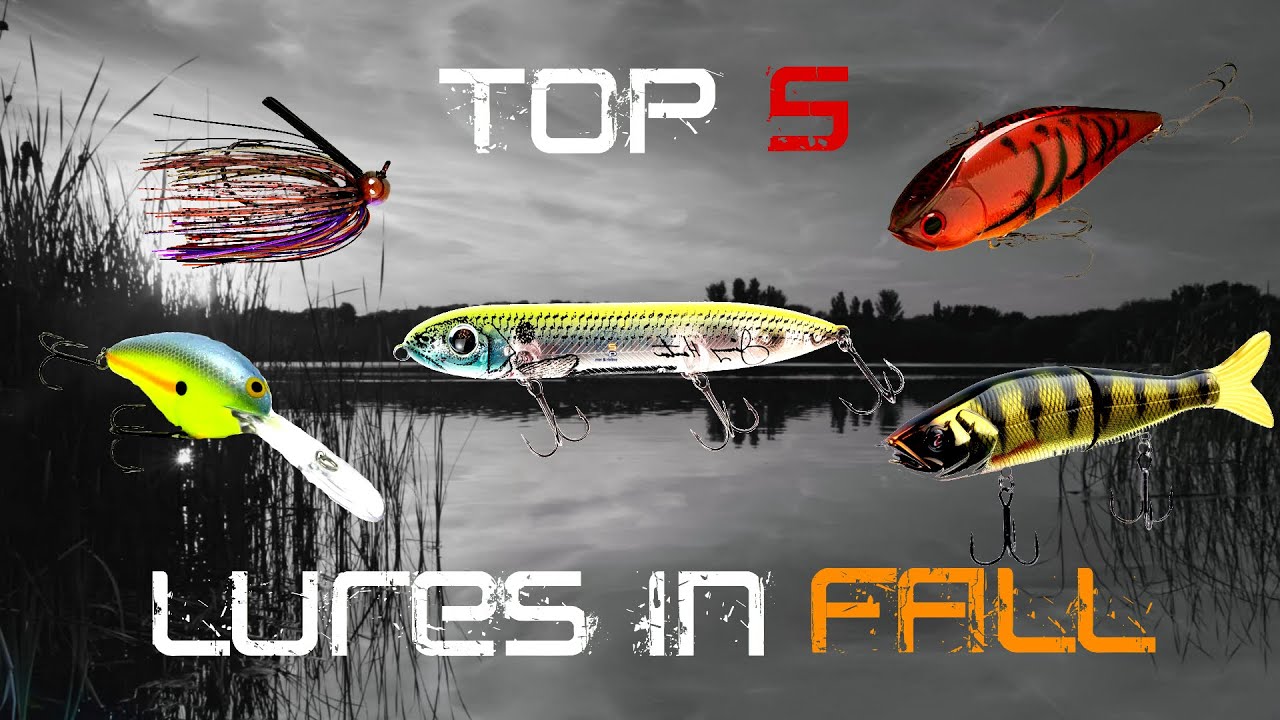 Top 3 Fall Bass Baits for Success in Cold Weather Fishing