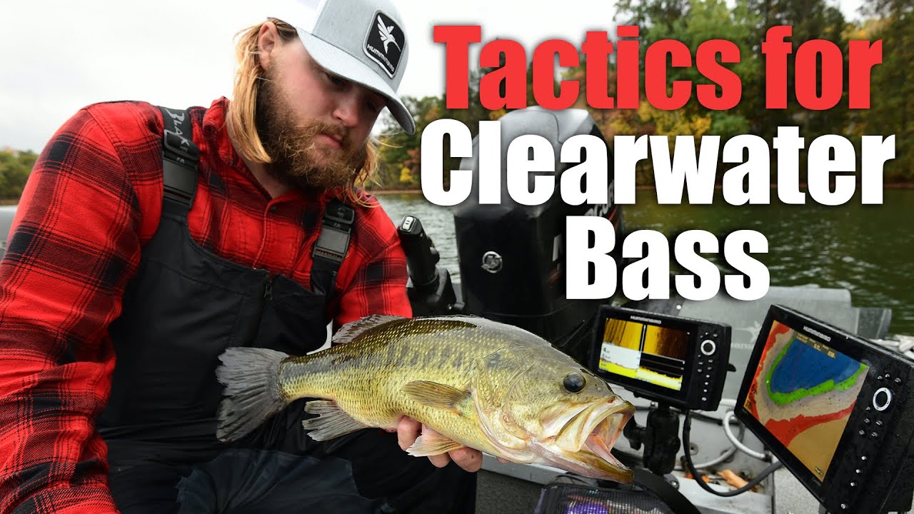 Clearwater Bass Fishing Guide: Best Spots, Techniques, and Gear for Success