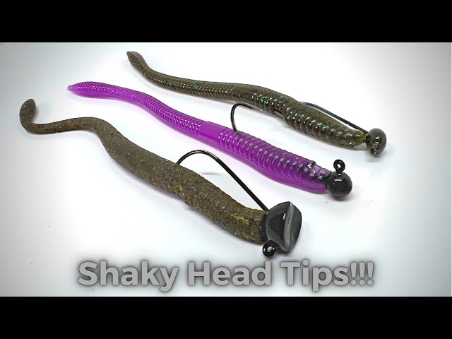 The Ultimate Guide to Shaky Heads: Baits, Rigging, and More