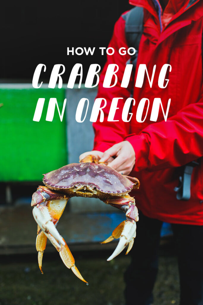 Ultimate Crabbing Experience at Nehalem Bay, Oregon: What You Need to Know