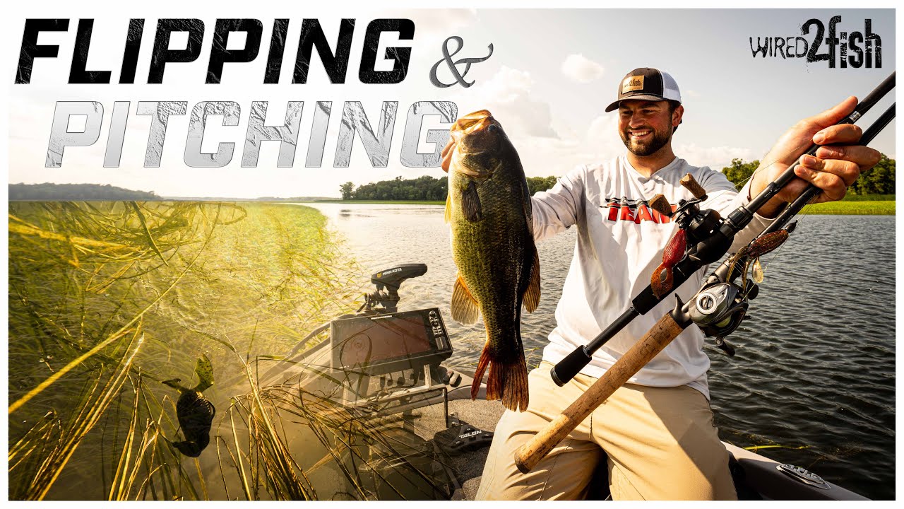 How to Perfect Flipping and Pitching for Shallow Water Fishing