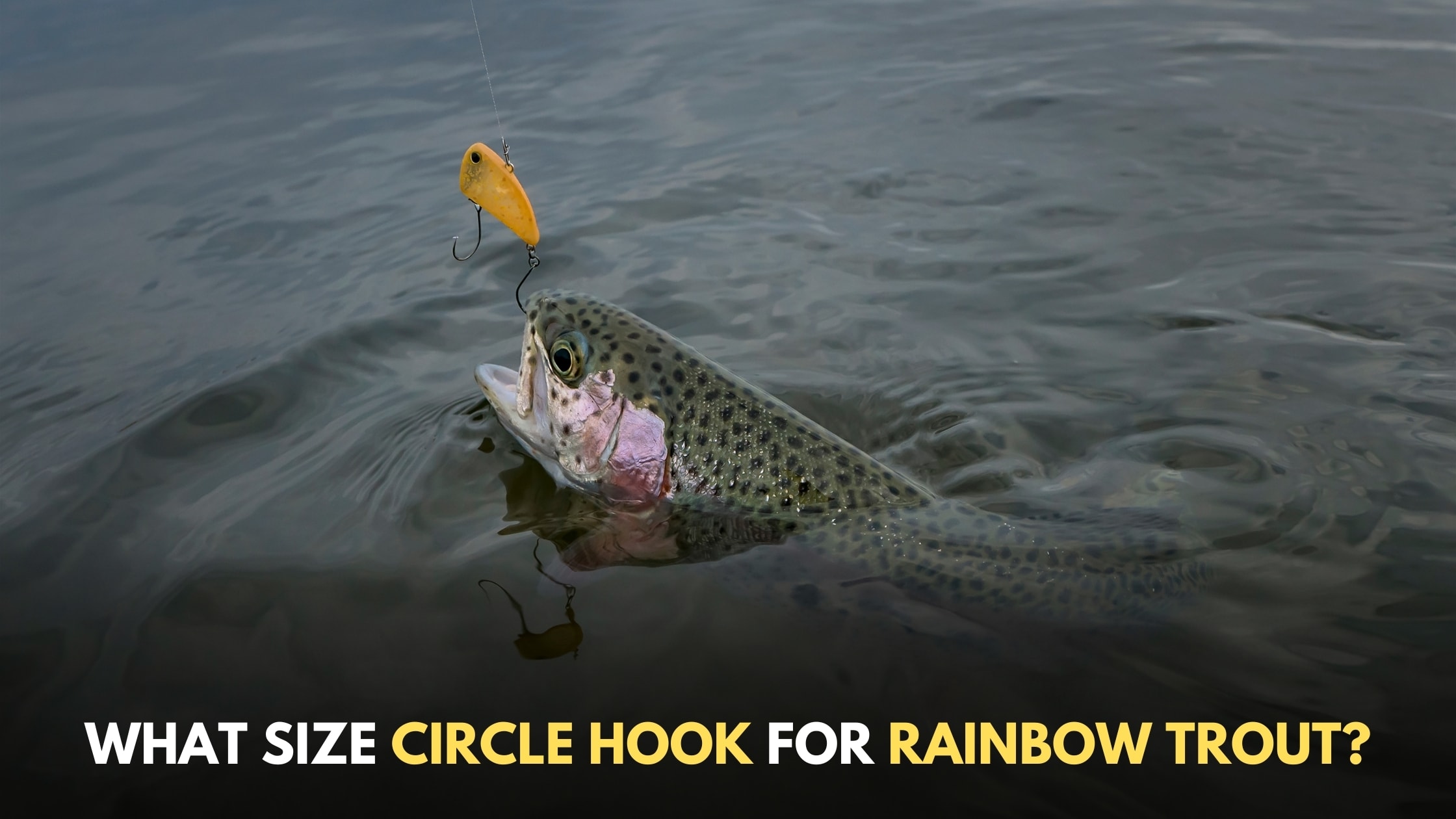 Choosing the Right Hook Size for Rainbow Trout Fishing