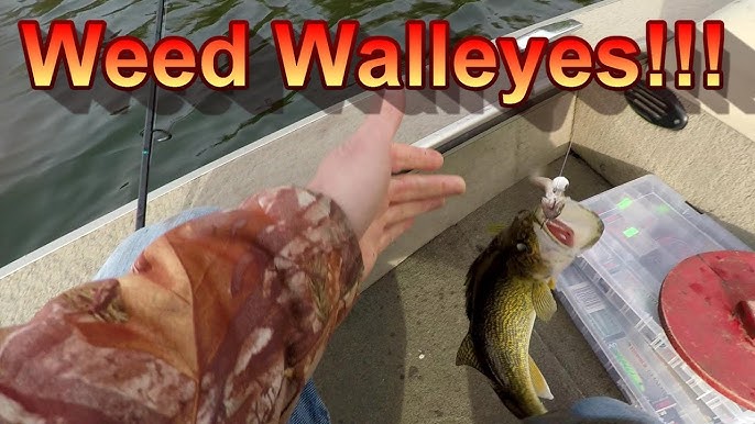 Effective Weed Fishing Techniques for Catching Walleye and Bass