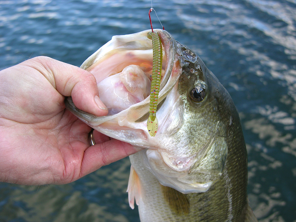 How to Choose the Perfect Worm Lures for Your Next Fishing Trip