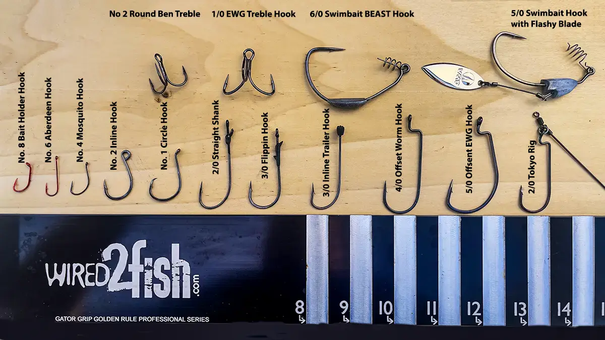 How to Choose the Right Hook Size for Bass Plastic Worms: Expert Tips