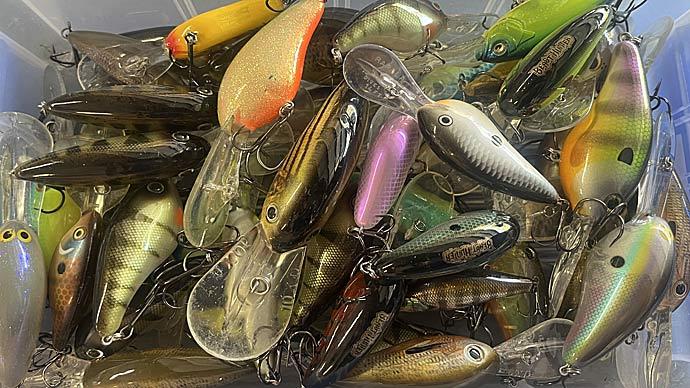 Essential Must-Have Crankbaits for Bass Fishing and More