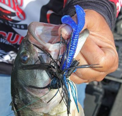 Maximize Your Catch with PowerBait Power Grub – The Top Choice for Anglers