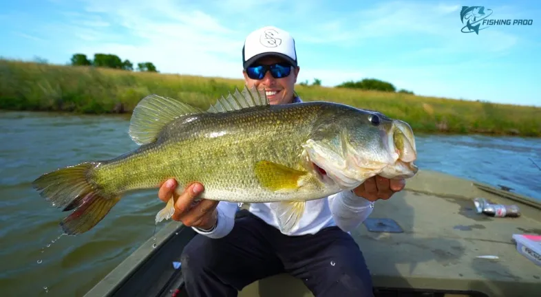 Sam Rayburn Fishing Report: What's Biting This Week – Weather and Fish Updates