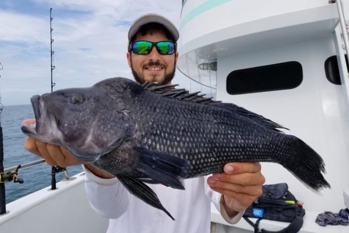 Virginia Beach Fishing Guide: Tautog, Triggerfish, and Sea Bass at Rudee Inlet