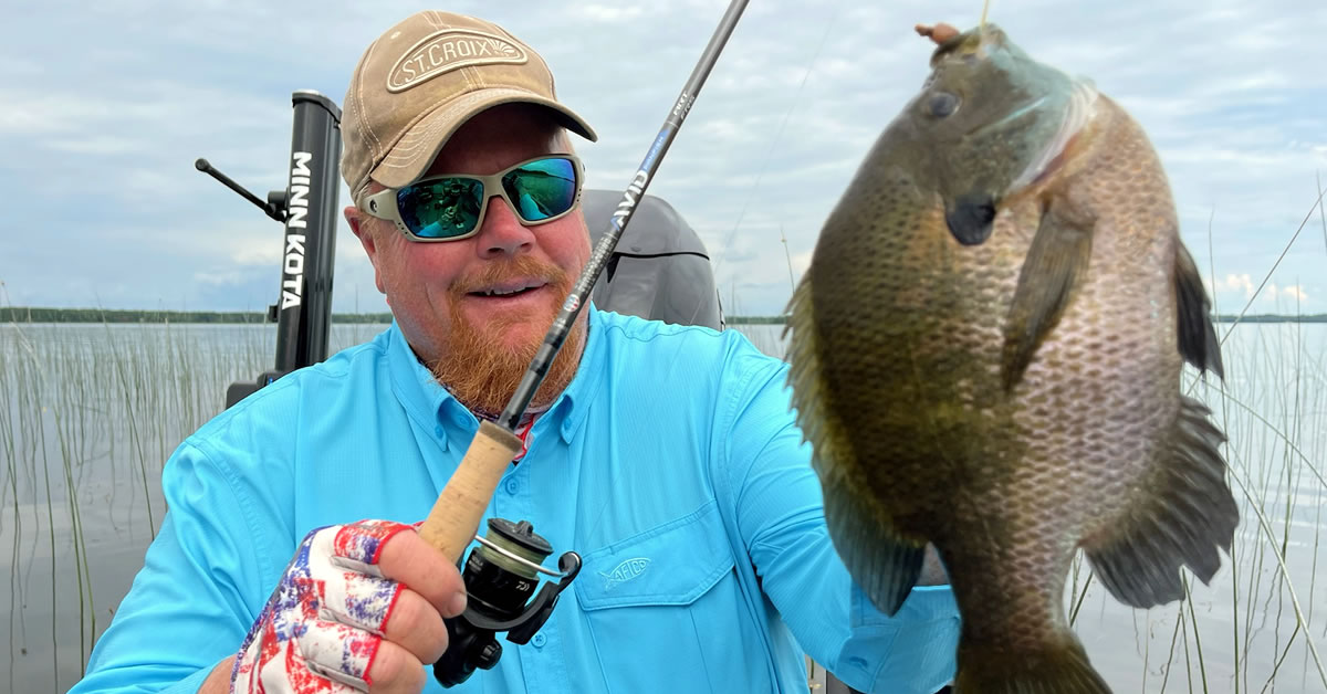 Finding the Best Panfish Rods: A Guide for Anglers