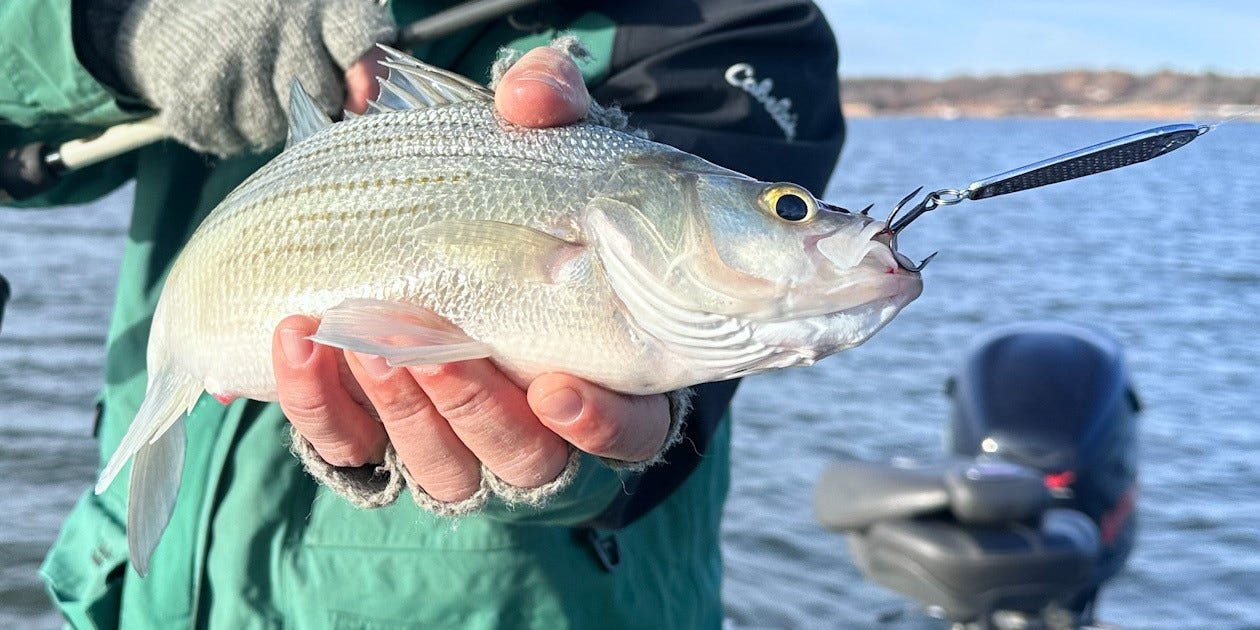 Winter Spoon Jigging: Effective Patterns and Techniques for Cold Water