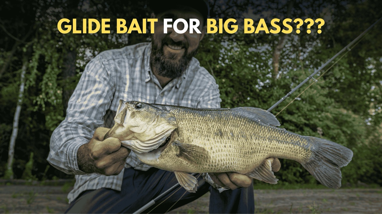 Mastering Glide Baits: How to Catch Giant Bass