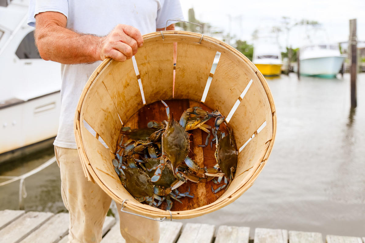 When to Visit Outer Banks for Crabbing: Best Seasons for Blue Crab Hunting