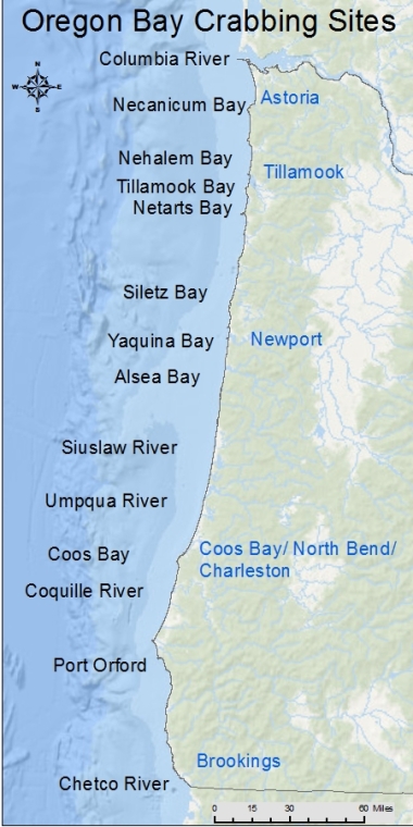 Oregon Coast Crabbing: Nehalem Bay Report & Best Spots