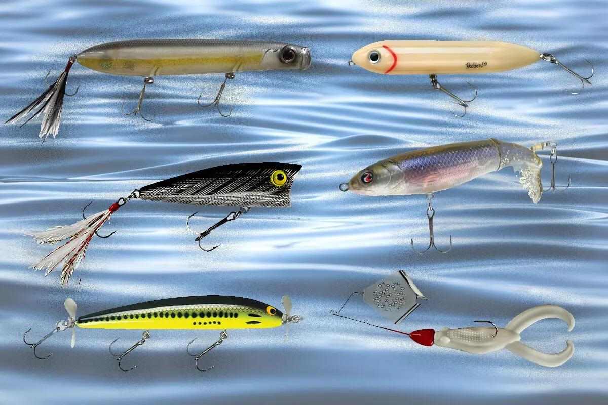 The Ultimate Guide to Best Fall Bass Bait for Topwater & Crankbaits