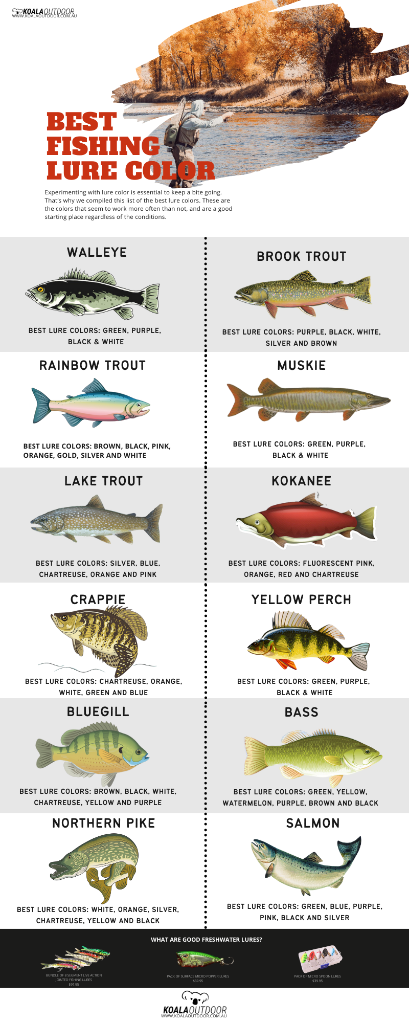 What Lures Work Best for Different Water Conditions?