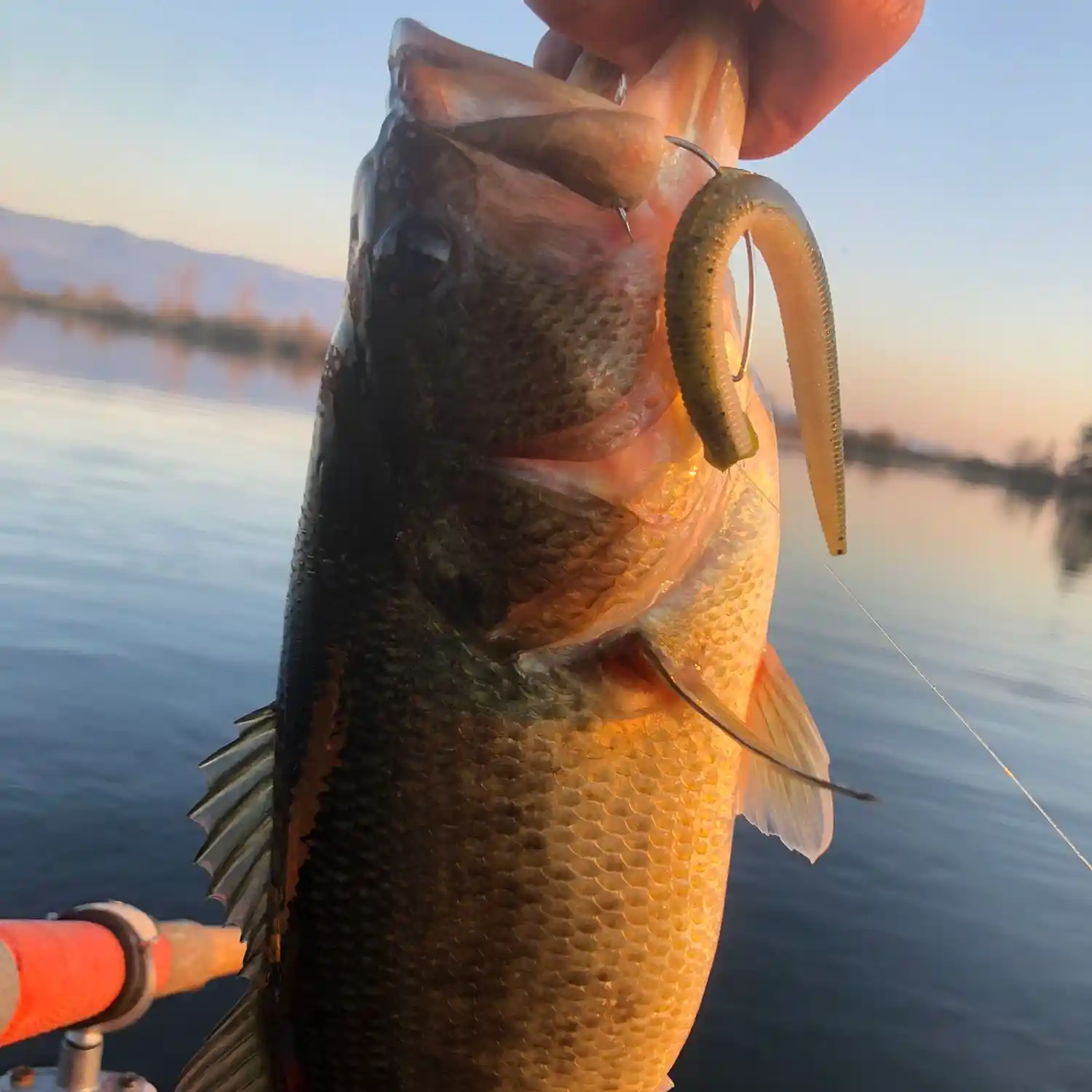 Exploring Bond Butte Pond Oregon: Fishing Seasons, Regulations, and Hotspots