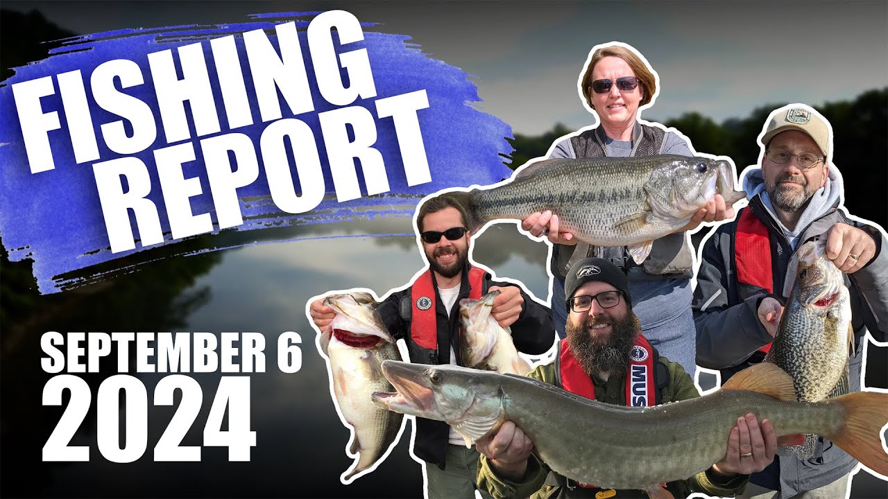 Franks Linwood Fishing Report: Latest Catch Insights & Tips for September 2024