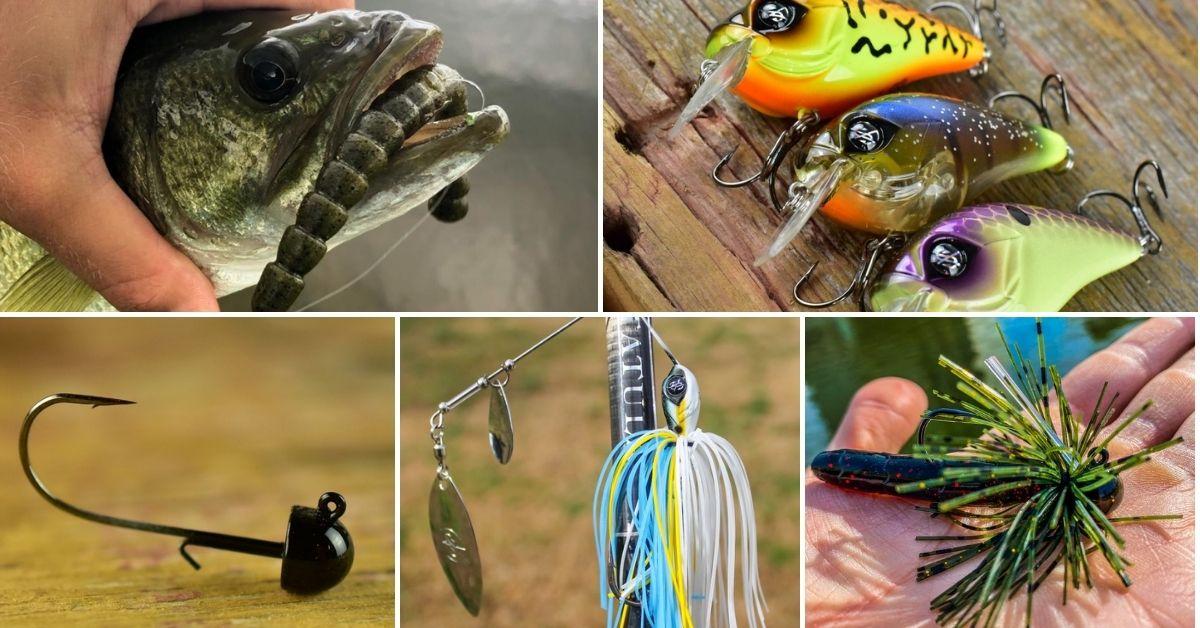 Effective Bass Fishing Rigs for Ponds: Enhance Your Catch Rate