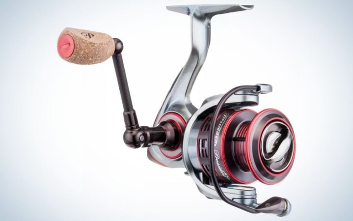 Top Newell Fishing Reels for 2024: Performance and Durability