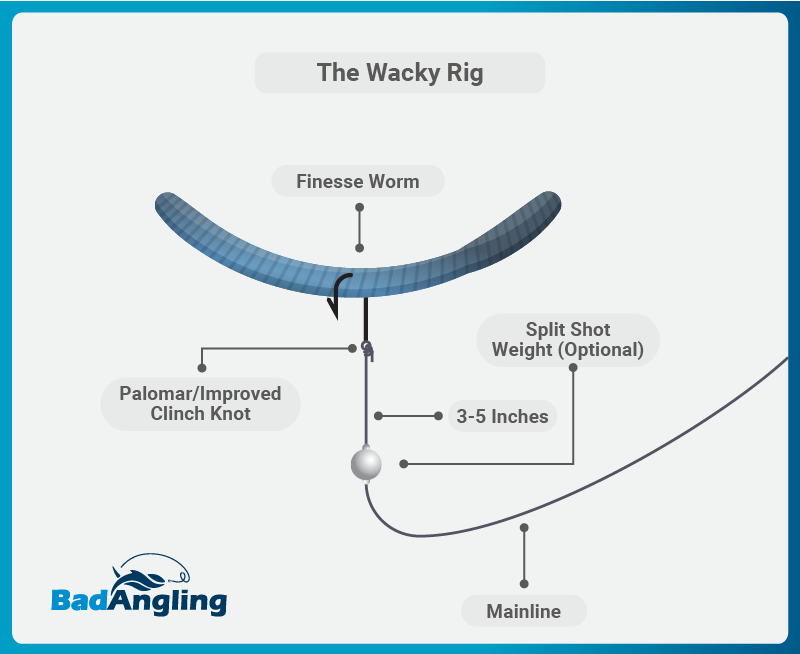 How to Set Up a Perfect Weighted Wacky Rig for Largemouth Bass