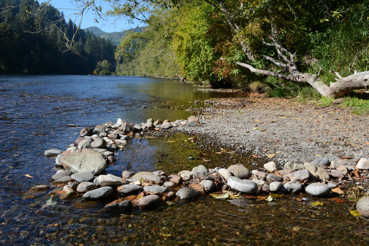 Discover the Beauty of Ben and Kay Dorris Park in Vida, Oregon